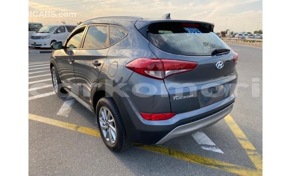 Acheter Import Voiture Hyundai Tucson Blanc à Import - Dubai, Grande Comore Acheter Import Voiture Hyundai Tucson Blanc à Import - Dubai, Grande Comore