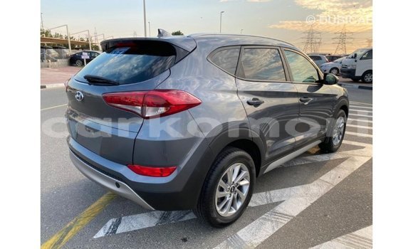 Acheter Import Voiture Hyundai Tucson Blanc à Import - Dubai, Grande Comore Acheter Import Voiture Hyundai Tucson Blanc à Import - Dubai, Grande Comore