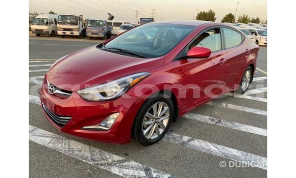 Acheter Import Voiture Hyundai Elantra Rouge à Import - Dubai, Grande Comore Acheter Import Voiture Hyundai Elantra Rouge à Import - Dubai, Grande Comore