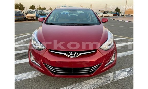 Acheter Import Voiture Hyundai Elantra Rouge à Import - Dubai, Grande Comore Acheter Import Voiture Hyundai Elantra Rouge à Import - Dubai, Grande Comore