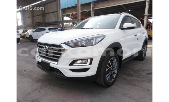 Acheter Import Voiture Hyundai Tucson Blanc à Import - Dubai, Grande Comore Acheter Import Voiture Hyundai Tucson Blanc à Import - Dubai, Grande Comore