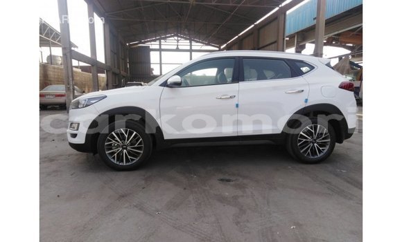 Acheter Import Voiture Hyundai Tucson Blanc à Import - Dubai, Grande Comore Acheter Import Voiture Hyundai Tucson Blanc à Import - Dubai, Grande Comore