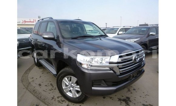 Buy Import Toyota Land Cruiser Other Car in Import - Dubai in Great Comore