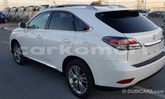Acheter Import Voiture Lexus RX 350 Blanc à Import - Dubai, Grande Comore Acheter Import Voiture Lexus RX 350 Blanc à Import - Dubai, Grande Comore