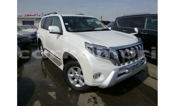 Buy Import Toyota Prado White Car in Import - Dubai in Great Comore