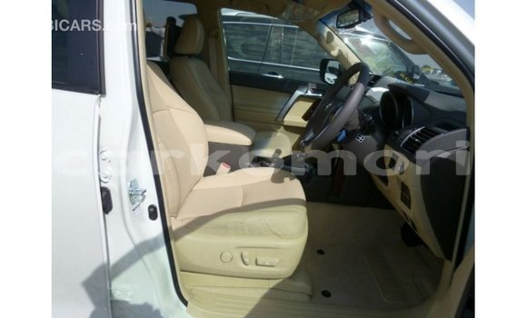 Buy Import Toyota Prado White Car in Import - Dubai in Great Comore Buy Import Toyota Prado White Car in Import - Dubai in Great Comore
