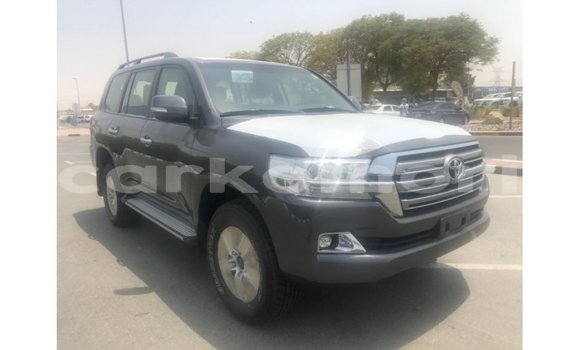 Buy Import Toyota Land Cruiser Other Car in Import - Dubai in Great Comore