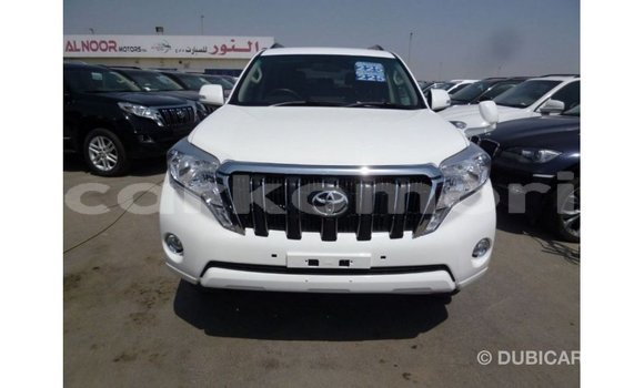 Buy Import Toyota Prado White Car in Import - Dubai in Great Comore Buy Import Toyota Prado White Car in Import - Dubai in Great Comore