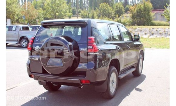 Buy Import Toyota Hilux Black Car in Import - Dubai in Great Comore Buy Import Toyota Hilux Black Car in Import - Dubai in Great Comore