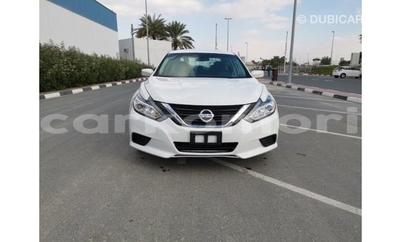 Buy Import Nissan Altima White Car in Import - Dubai in Great Comore Buy Import Nissan Altima White Car in Import - Dubai in Great Comore