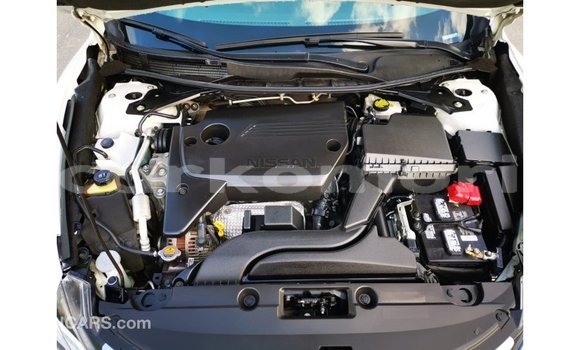 Buy Import Nissan Altima White Car in Import - Dubai in Great Comore Buy Import Nissan Altima White Car in Import - Dubai in Great Comore