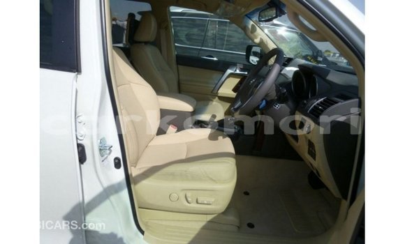 Acheter Import Voiture Toyota Prado Blanc à Import - Dubai, Grande Comore Acheter Import Voiture Toyota Prado Blanc à Import - Dubai, Grande Comore