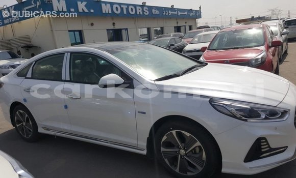 Acheter Import Voiture Hyundai Sonata Blanc à Import - Dubai, Grande Comore Acheter Import Voiture Hyundai Sonata Blanc à Import - Dubai, Grande Comore