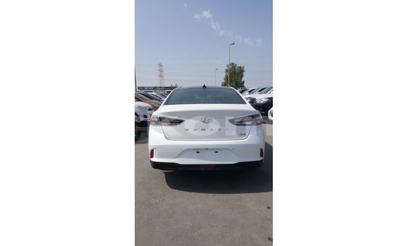 Acheter Import Voiture Hyundai Sonata Blanc à Import - Dubai, Grande Comore Acheter Import Voiture Hyundai Sonata Blanc à Import - Dubai, Grande Comore