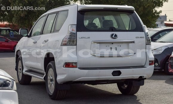 Buy Import Lexus GX White Car in Import - Dubai in Great Comore Buy Import Lexus GX White Car in Import - Dubai in Great Comore