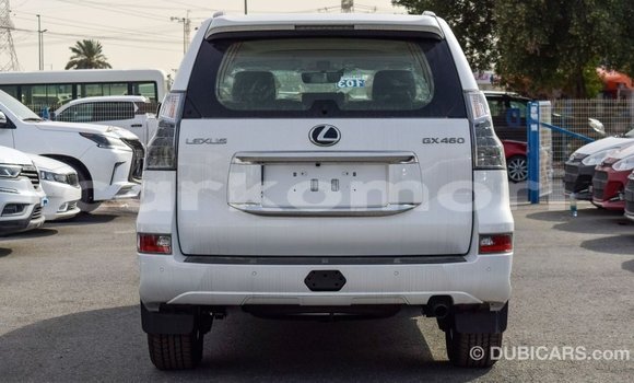 Buy Import Lexus GX White Car in Import - Dubai in Great Comore Buy Import Lexus GX White Car in Import - Dubai in Great Comore