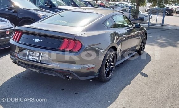 Acheter Import Voiture Ford Mustang Autre à Import - Dubai, Grande Comore Acheter Import Voiture Ford Mustang Autre à Import - Dubai, Grande Comore