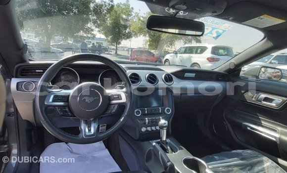 Acheter Import Voiture Ford Mustang Autre à Import - Dubai, Grande Comore Acheter Import Voiture Ford Mustang Autre à Import - Dubai, Grande Comore