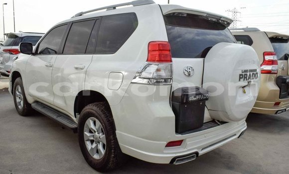 Acheter Import Voiture Toyota Prado Blanc à Import - Dubai, Grande Comore Acheter Import Voiture Toyota Prado Blanc à Import - Dubai, Grande Comore