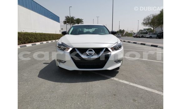 Buy Import Nissan Maxima White Car in Import - Dubai in Great Comore Buy Import Nissan Maxima White Car in Import - Dubai in Great Comore