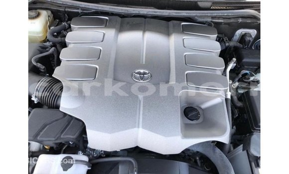Acheter Import Voiture Toyota Land Cruiser Blanc à Import - Dubai, Grande Comore Acheter Import Voiture Toyota Land Cruiser Blanc à Import - Dubai, Grande Comore