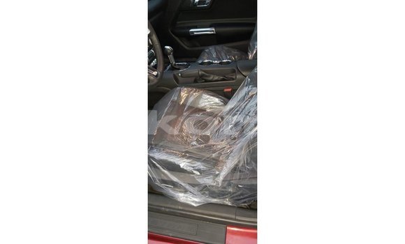 Acheter Import Voiture Ford Mustang Rouge à Import - Dubai, Grande Comore Acheter Import Voiture Ford Mustang Rouge à Import - Dubai, Grande Comore