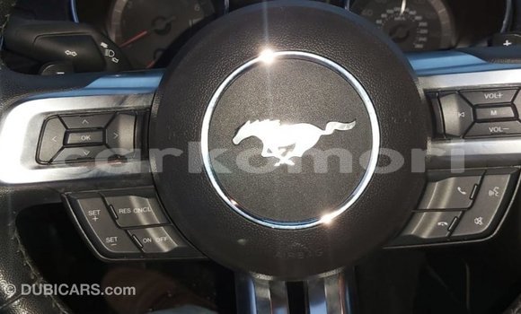 Acheter Import Voiture Ford Mustang Rouge à Import - Dubai, Grande Comore Acheter Import Voiture Ford Mustang Rouge à Import - Dubai, Grande Comore