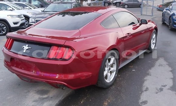Acheter Import Voiture Ford Mustang Rouge à Import - Dubai, Grande Comore Acheter Import Voiture Ford Mustang Rouge à Import - Dubai, Grande Comore