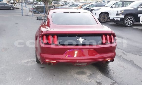 Acheter Import Voiture Ford Mustang Rouge à Import - Dubai, Grande Comore Acheter Import Voiture Ford Mustang Rouge à Import - Dubai, Grande Comore