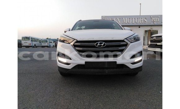 Acheter Import Voiture Hyundai Tucson Blanc à Import - Dubai, Grande Comore Acheter Import Voiture Hyundai Tucson Blanc à Import - Dubai, Grande Comore