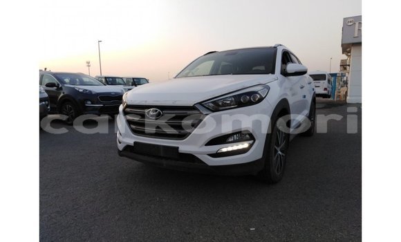 Acheter Import Voiture Hyundai Tucson Blanc à Import - Dubai, Grande Comore Acheter Import Voiture Hyundai Tucson Blanc à Import - Dubai, Grande Comore