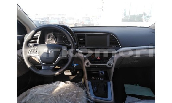 Buy Import Hyundai Elantra Other Car in Import - Dubai in Great Comore Buy Import Hyundai Elantra Other Car in Import - Dubai in Great Comore