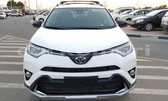 Acheter Import Voiture Toyota RAV4 Blanc à Import - Dubai, Grande Comore