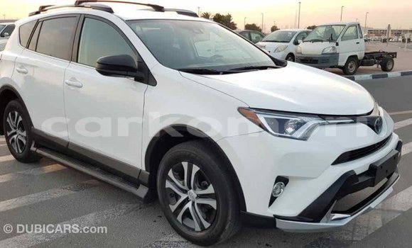 Acheter Import Voiture Toyota RAV4 Blanc à Import - Dubai, Grande Comore Acheter Import Voiture Toyota RAV4 Blanc à Import - Dubai, Grande Comore