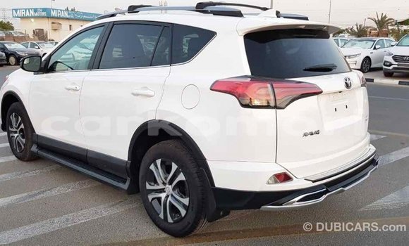 Acheter Import Voiture Toyota RAV4 Blanc à Import - Dubai, Grande Comore Acheter Import Voiture Toyota RAV4 Blanc à Import - Dubai, Grande Comore