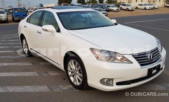Acheter Import Voiture Lexus ES Blanc à Import - Dubai, Grande Comore Acheter Import Voiture Lexus ES Blanc à Import - Dubai, Grande Comore