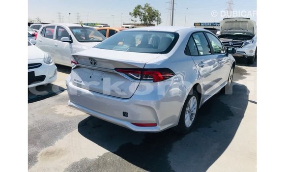 Acheter Import Voiture Toyota Corolla Blanc à Import - Dubai, Grande Comore Acheter Import Voiture Toyota Corolla Blanc à Import - Dubai, Grande Comore