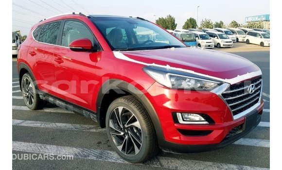 Acheter Import Voiture Hyundai Tucson Rouge à Import - Dubai, Grande Comore Acheter Import Voiture Hyundai Tucson Rouge à Import - Dubai, Grande Comore