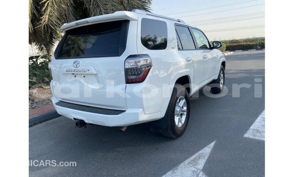 Acheter Import Voiture Toyota 4Runner Blanc à Import - Dubai, Grande Comore Acheter Import Voiture Toyota 4Runner Blanc à Import - Dubai, Grande Comore