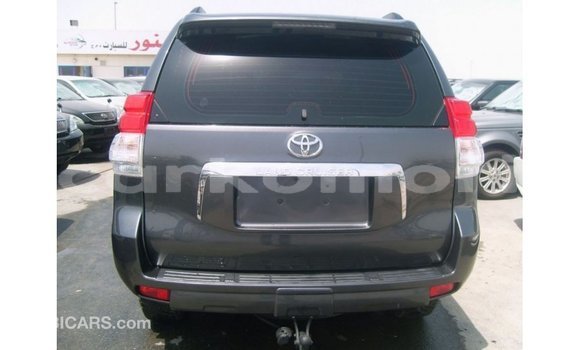 Buy Import Toyota Prado Other Car in Import - Dubai in Great Comore Buy Import Toyota Prado Other Car in Import - Dubai in Great Comore