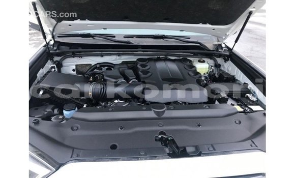 Buy Import Toyota 4Runner White Car in Import - Dubai in Great Comore Buy Import Toyota 4Runner White Car in Import - Dubai in Great Comore