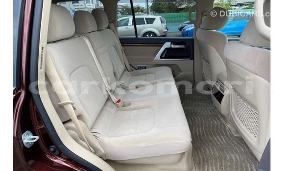 Buy Import Toyota Land Cruiser Red Car in Import - Dubai in Great Comore Buy Import Toyota Land Cruiser Red Car in Import - Dubai in Great Comore