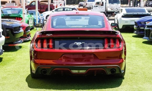 Acheter Import Voiture Ford Mustang Rouge à Import - Dubai, Grande Comore Acheter Import Voiture Ford Mustang Rouge à Import - Dubai, Grande Comore