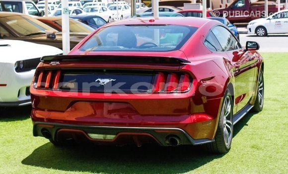 Acheter Import Voiture Ford Mustang Rouge à Import - Dubai, Grande Comore Acheter Import Voiture Ford Mustang Rouge à Import - Dubai, Grande Comore