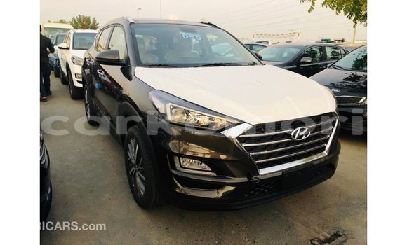 Acheter Import Voiture Hyundai Tucson Marron à Import - Dubai, Grande Comore Acheter Import Voiture Hyundai Tucson Marron à Import - Dubai, Grande Comore