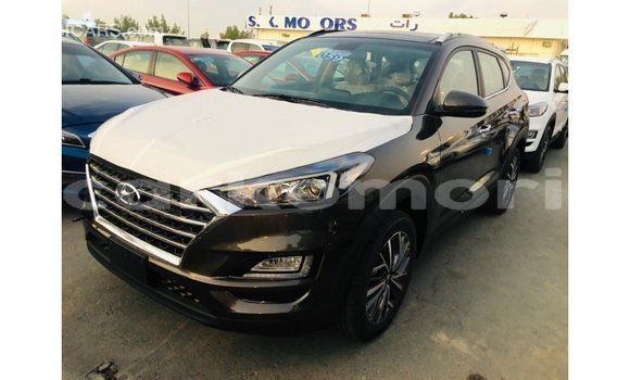 Acheter Import Voiture Hyundai Tucson Marron à Import - Dubai, Grande Comore Acheter Import Voiture Hyundai Tucson Marron à Import - Dubai, Grande Comore