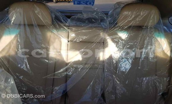 Acheter Import Voiture Lexus RX 350 Blanc à Import - Dubai, Grande Comore Acheter Import Voiture Lexus RX 350 Blanc à Import - Dubai, Grande Comore