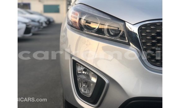 Buy Import Kia Sorento Other Car in Import - Dubai in Great Comore Buy Import Kia Sorento Other Car in Import - Dubai in Great Comore