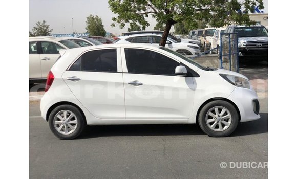 Buy Import Kia Picanto White Car in Import - Dubai in Great Comore Buy Import Kia Picanto White Car in Import - Dubai in Great Comore