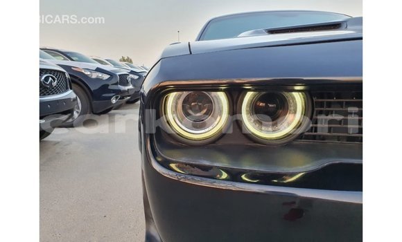Buy Import Dodge Challenger Black Car in Import - Dubai in Great Comore Buy Import Dodge Challenger Black Car in Import - Dubai in Great Comore